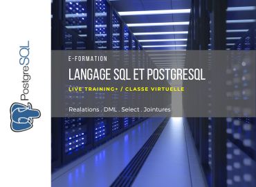 langage-sql-et-postgresql-c5.jpg
